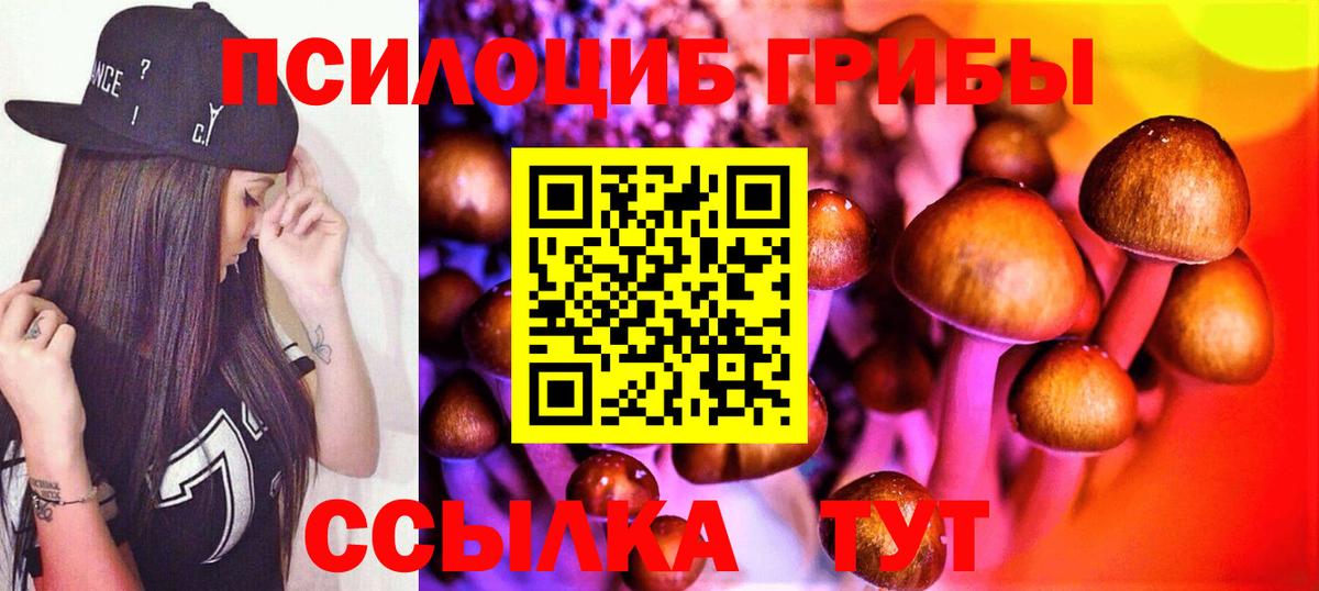 Галлюциногенные грибы Psilocybe Великий Устюг